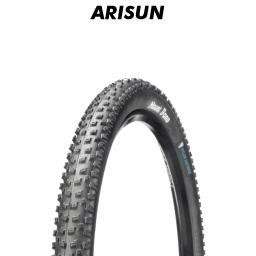 ARISUN