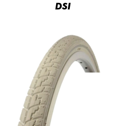 DSI
