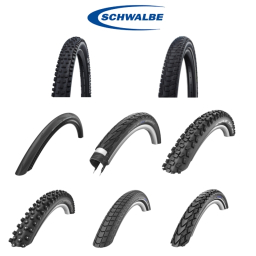 SCHWALBE