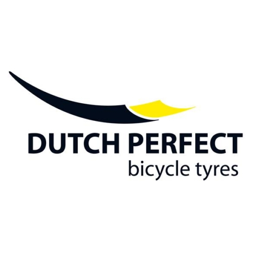 dsi dutch perfect logo