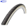 37-540 Schwalbe Delta Cruiser Active K-Guard - Draht, SBC - Weißwand